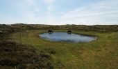 Tour Zu Fuß Texel - De Bollekamer - Photo 5