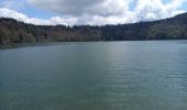 Tour Wandern Besse-et-Saint-Anastaise - Lac Pavin 8.5.24 - Photo 5