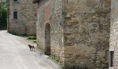 Trail On foot Canossa - Cavandola - Votigno - Bergogno - Cavandola - Photo 4