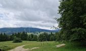 Randonnée Marche Les Rousses - le lac des rousses et le fort du risoux - Photo 3