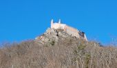 Randonnée Marche Ribeauvillé - Ribeauvillé et ses 3 châteaux - Monastère ND de Dusenbach - Photo 3