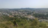 Trail Walking Gerolstein - Eifelsteig Gerolstein - Photo 12