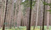 Percorso Marcia Clervaux - Escapardenne Eisleck Trail: Clervaux - Moulin d'Asselborn - Photo 16