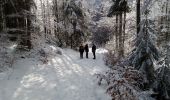 Excursión Senderismo La Chapelle-en-Vercors - Belvédère de Revoulat - Photo 11