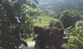 Trail On foot Acceglio - Alte Valli - Tappa 06 - Photo 9