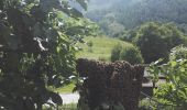 Tour Zu Fuß Saint-Paul-sur-Ubaye - Sentiero Roberto Cavallero - Photo 10