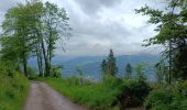 Tour Wandern Thiéfosse - circuit col de xiard chalet de la vrille par tourbière  - Photo 2