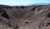 Tocht Stappen El Paso - Wikiloc - La Palma: Cumbre Vieja Vulkaanroute half - Photo 9