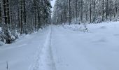 Tocht Sneeuwschoenen Malmedy - Randonnée raquettes Mont Spinette-Malmédy - Photo 4