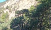 Excursión Senderismo Laval-d'Aix - Promenade du Glandasse depuis le gîte Reychasset - Photo 11