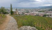 Trail Walking Crozes-Hermitage - Pierre Aiguilhe  Croze - Photo 2