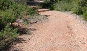 Trail Walking Aix-en-Provence - 13-bibemus_barrages_zola&bimont_10km270m - Photo 8
