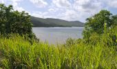 Tour Wandern La Trinité - bouc’le spoutourne  - Photo 5