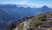 Randonnée Marche Saint-Pierre-d'Entremont - Le Grand Som en boucle - Photo 4