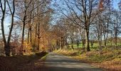 Randonnée Vélo Waimes - Province de Liège tourisme - Le lac de Bütgenbach - Photo 9