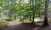 Trail Walking Esneux - mon E d'Esneux - Photo 6