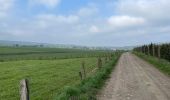 Tocht Stappen Libramont-Chevigny - Bras-Freux - Photo 1