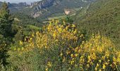 Percorso Mountainbike Vaison-la-Romaine - Tour des Dentelles - Photo 5