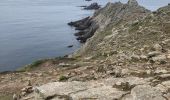 Tocht Stappen Plogoff - Pointe du Raz - Photo 11