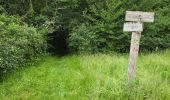 Tocht Stappen Les Granges-le-Roi - Forêt domaniale de Dourdan  - Photo 20