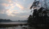 Tocht Te voet Wijchen - Wandelroute Vennen - Photo 1