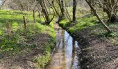 Tour Wandern Chaumont-Gistoux - BE-Chaumont-Gistoux - Vieusart  - Photo 3