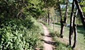 Trail Walking Blegny - entre barchon et Blegny  - Photo 8