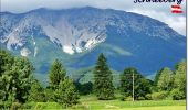 Tour Zu Fuß Gemeinde Puchberg am Schneeberg - Puchberg Laufstrecke 1 - Photo 9