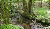 Randonnée A pied Ammersbek - Rund um Wulfsdorf und Hoisbüttel - Photo 2