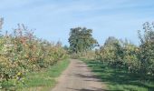 Tocht Stappen Aubel - A la découverte de Val Dieu  - Photo 12