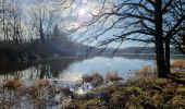 Excursión Senderismo Tour-en-Sologne - tour en sologne - Photo 1