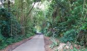 Tocht Stappen Le Lorrain - Boucle Seguineau 22 Mai - Photo 5