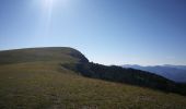 Trail Walking Montauban-sur-l'Ouvèze - Montagne de Chamouse - Photo 3