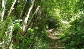 Trail Walking Vesly - vesly Noyers le chêne  - Photo 12