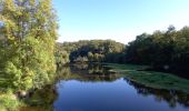 Tocht Stappen Boussay - Boussay - Clisson  - Photo 18