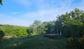 Trail Walking La Roche-en-Ardenne - A la découverte de Maboge 🥾 - Photo 12