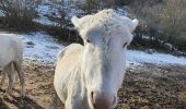 Tour Wandern Bouyon - BROC ANOU - Photo 6