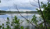 Excursión Senderismo Nouan-le-Fuzelier - les etangs de lévrys - Photo 1