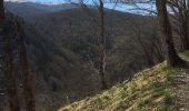 Randonnée Marche Lecumberry - Irabia pantano boucle par gr11 - Photo 14