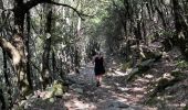 Trail Walking Pie-d'Orezza - San petrone au col - Photo 7