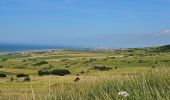 Randonnée Marche Escalles - ⛺️ Les Érables - Cap Blanc-Nez  - Photo 12