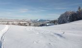 Percorso Racchette da neve Haut Valromey - raquettes chapelle5km6 - Photo 3