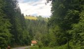 Tour Wandern Loitsch - Rovte, Rovte, Slovenija - Photo 15