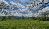 Tocht Stappen Stoumont - rando la gleize 20/05/2021 - Photo 3