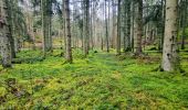 Tour Wandern Junglinster - Itinérant Luxembourg Jour 3: Graulinster- Echternach - Photo 10