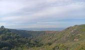 Tour Wandern Narbonne - massif et abbaye de Fontfroide - Photo 14