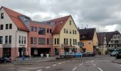 Tour Zu Fuß Weil der Stadt - DE-SWV gelbe Raute, Merklingen Bauhof - Eisberg - Photo 3