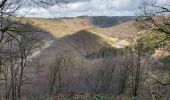 Tocht Stappen Bouillon - Rochehaut 110222 - Photo 4