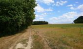 Trail Walking Villedômer - Villedômer - Le sentier des Bois - 22.4km 265m 5h05 (25mn) - 2019 08 10 - Photo 9