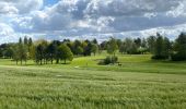 Randonnée Marche Villers-la-Ville - VLV - promenade de Rigenée (départ parking du Golf) - Photo 6